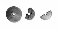 fusaïole, image 3/3