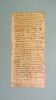 papyrus documentaire, image 2/2