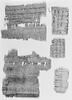 papyrus documentaire, image 3/4