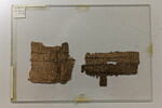 papyrus documentaire, image 2/4