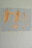 papyrus documentaire, image 7/7