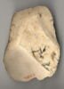 ostracon, image 3/3