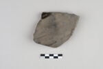 ostracon, image 2/3