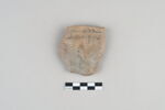 ostracon, image 1/3