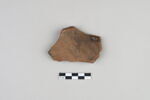 ostracon, image 2/3
