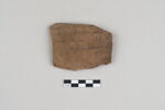 ostracon, image 1/3