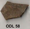 ostracon, image 1/3