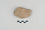 ostracon, image 1/3