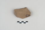 ostracon, image 2/3