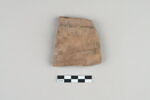 ostracon, image 1/3