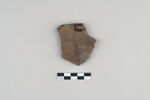 ostracon, image 2/3