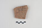 ostracon, image 1/3