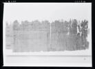 papyrus documentaire, image 4/5