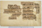 papyrus documentaire, image 2/4