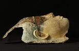 masque de momie, image 3/4