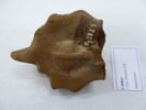 figurine, image 2/2