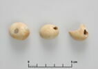 perles  ; coquillage, image 2/4