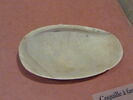 vase plastique, image 2/2