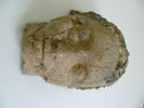 masque de momie, image 2/3