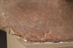 Tête Salt, image 18/32