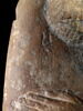 statue naophore ; statue cube, image 3/16