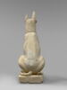 Chien d'Assiout, image 4/7
