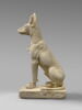Chien d'Assiout, image 5/7