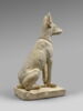 Chien d'Assiout, image 6/7