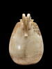 alabastron ; couvercle de vase, image 7/11