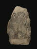 ostracon figuré, image 2/3