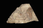 ostracon figuré, image 3/3