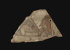 ostracon figuré, image 2/3
