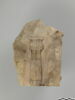ostracon figuré, image 1/4