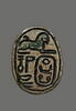 scarabée, image 1/2