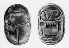 scarabée, image 7/7