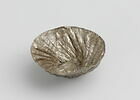 bol ; coupe, image 1/4