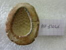 moule à perle de faïence, image 1/2