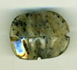 scarabée à ventre détaillé, image 2/2