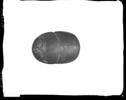 scarabée de cœur, image 1/3