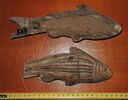cercueil de poisson, image 3/3
