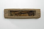 cercueil de serpent ; élément momifié, image 3/4