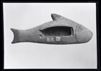 cercueil de poisson, image 7/7