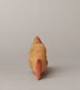 cercueil de poisson, image 6/7
