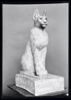 cercueil de chat, image 6/6
