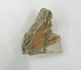 masque de momie, image 3/3
