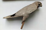 cercueil de faucon  ; statuette, image 1/2