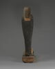 statue de Ptah-Sokar-Osiris ; figurine d'oiseau akhem, image 5/8