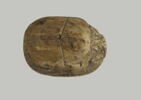 scarabée, image 1/2