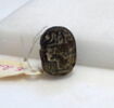 scarabée, image 1/3