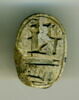 scarabée, image 1/2